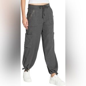 American Eagle Outfitters Dark Gray Cargo Pants